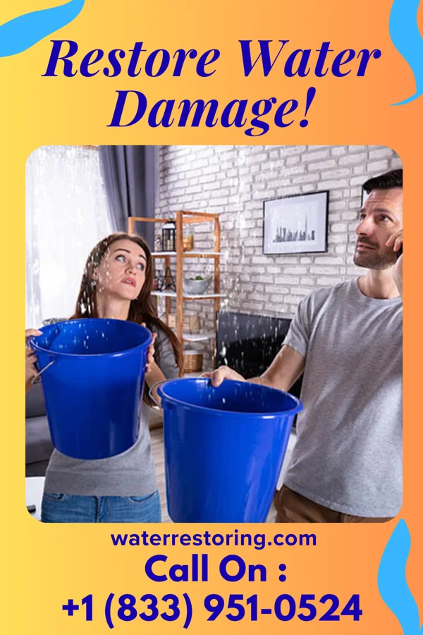 water restoration Master Flood Force Wilton