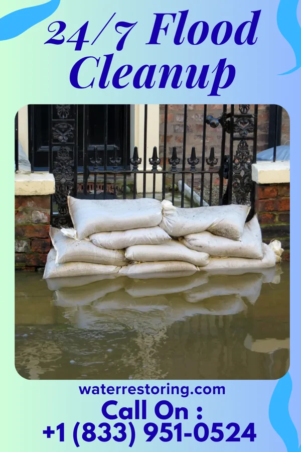 24/7 Flood Cleanup in Wilton, ND