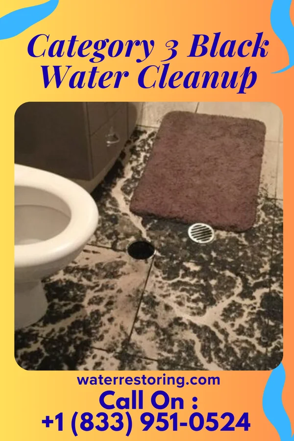 Category 3 Black Water Cleanup in Wilton, ND